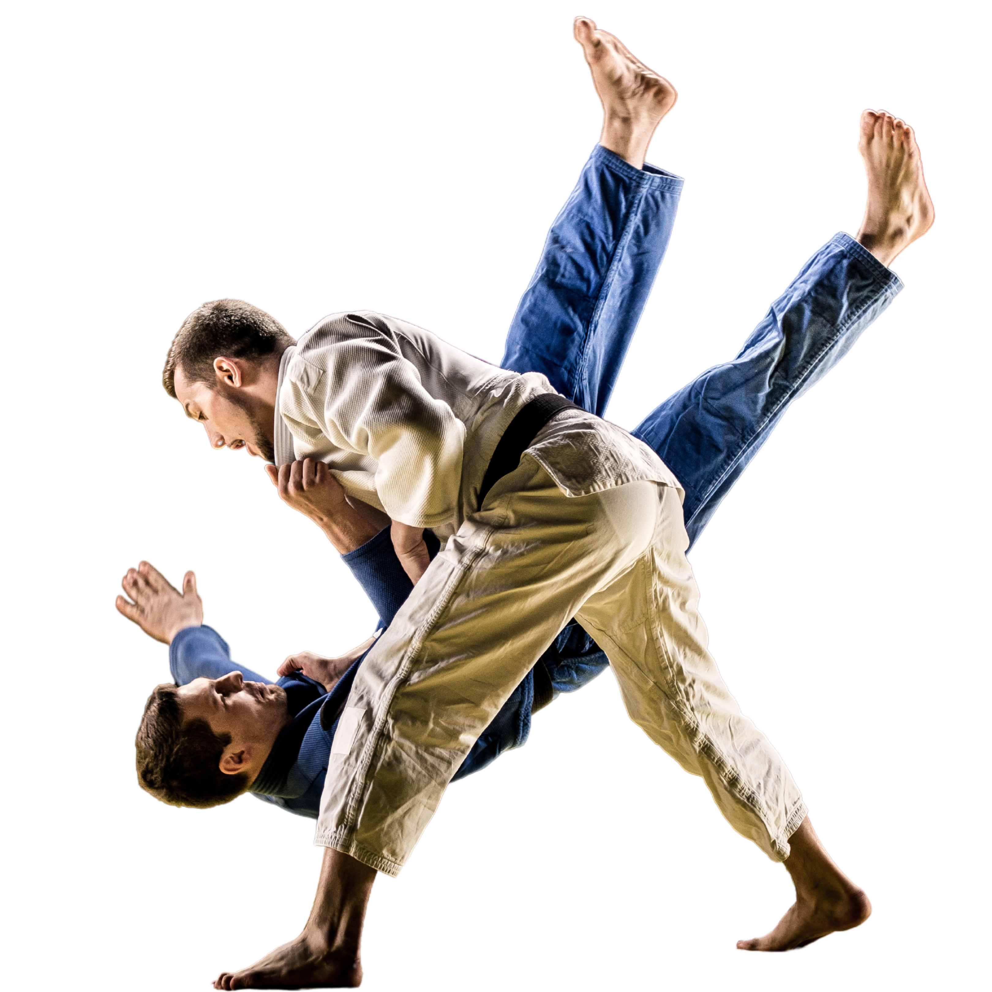 Pós em Judô Práticas Pedagógicas e Metodologias de Treinamento